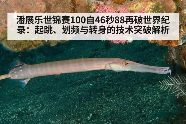 潘展乐世锦赛100自46秒88再破世界纪录：起跳、划频与转身的技术突破解析