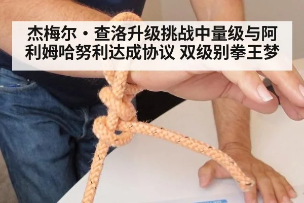 杰梅尔·查洛升级挑战中量级与阿利姆哈努利达成协议 双级别拳王梦