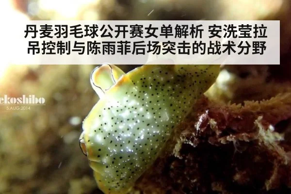 丹麦羽毛球公开赛女单解析 安洗莹拉吊控制与陈雨菲后场突击的战术分野